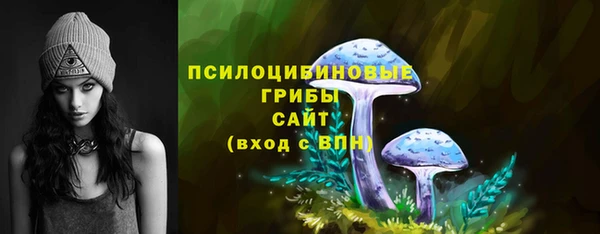 спиды Вязьма